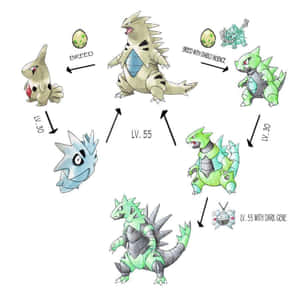 Pupitar, An Intermediate Evolutionary Stage Pokemon Wallpaper