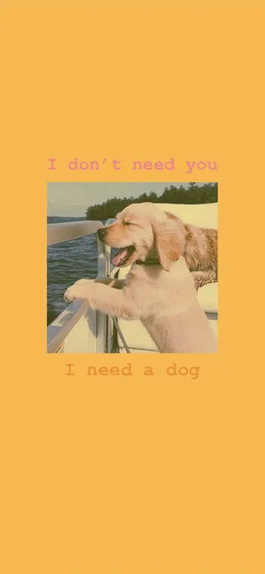 Puppy Boat Adventure Aesthetic.jpg Wallpaper