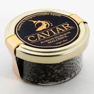 ‘pure Bred Racing Champion, Black Caviar’ Wallpaper