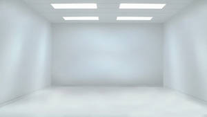 Pure White Room Wallpaper