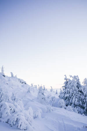 Pure White Snowy Mountain Wallpaper