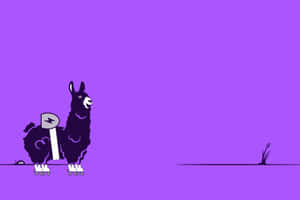 Purple Alpaca On Roller Skates Wallpaper