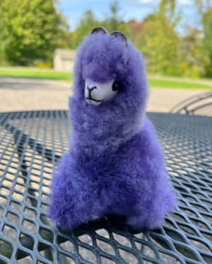 Purple Alpaca Plush Outdoor Setting Wallpaper