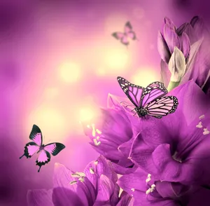 Purple Butterfly Digital Drawing Wallpaper