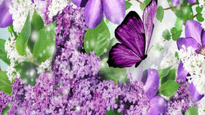 Purple Butterfly On Leaves Wallpaper