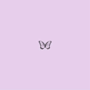 Purple Butterfly Simplicity Wallpaper