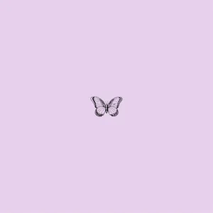 Purple Butterfly Simplicity Wallpaper