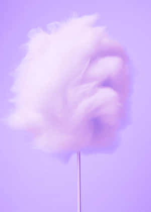 Purple Cotton Candy Dream Wallpaper