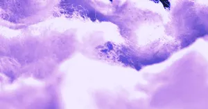 Purple Cotton Closeup Wallpaper