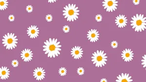 Purple Daisy Aesthetic Computer Wallpaper