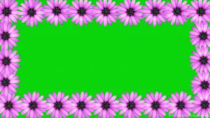 Purple Daisy Wedding Frame Green Background Wallpaper