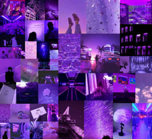 Purple Euphoria Aesthetic Collage Wallpaper