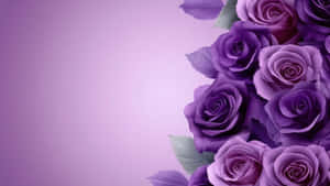 Purple Floral Elegance Wallpaper