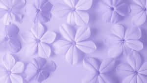 Purple Floral Pattern Wallpaper