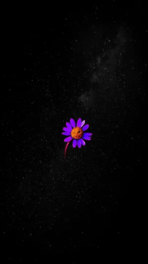 Purple Flower All Best Wallpaper