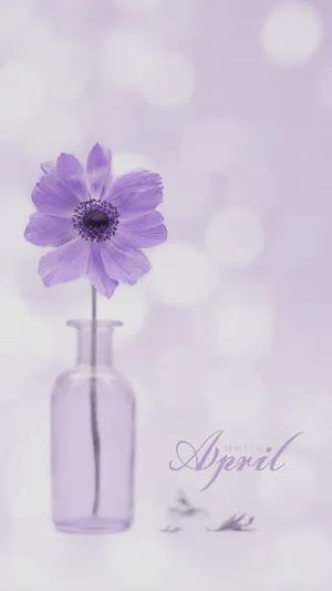 Purple Flower April Aesthetic Wallpaper