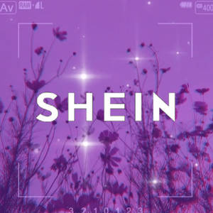 Purple Flowers Shein Wallpaper