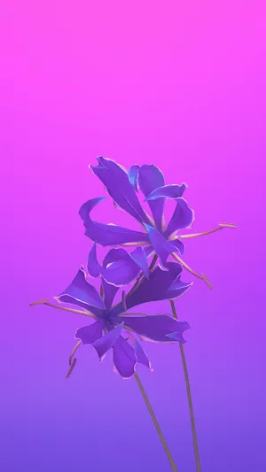 Purple Gorgeous Apple Flower Wallpaper