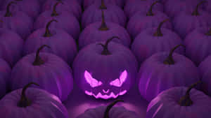 Purple Halloween Pumpkin Glow Wallpaper