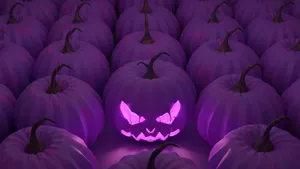 Purple Halloween Pumpkin Glow Wallpaper