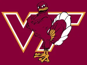 Purple Hokie Bird Virginia Tech Wallpaper