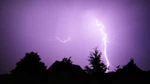 Purple Lightning With Dark Trees Wallpaper