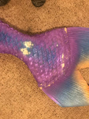 Purple Mermaid Tail Closeup.jpg Wallpaper
