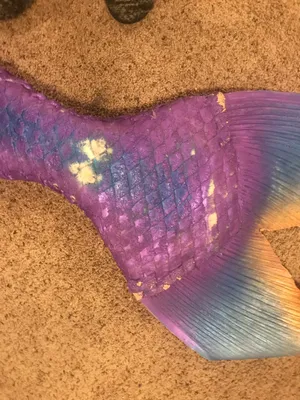 Purple Mermaid Tail Closeup.jpg Wallpaper