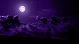 Purple Moon Wallpapers Hd Wallpaper