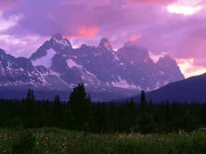 Purple_ Mountain_ Majesty_at_ Dusk Wallpaper