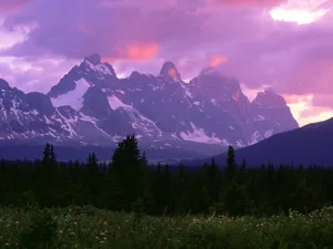 Purple_ Mountain_ Majesty_at_ Dusk Wallpaper
