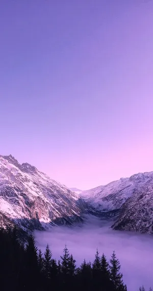 Purple_ Mountain_ Majesty_at_ Dusk.jpg Wallpaper