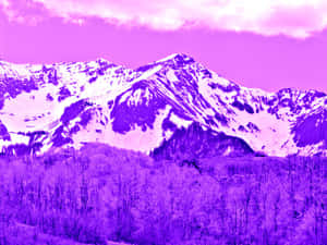 Purple Mountain Majesty Landscape Wallpaper