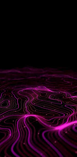 Purple Neon Contours Wallpaper Wallpaper