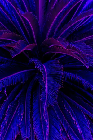 Purple Palm Tree Aesthetic Iphone 11 Wallpaper