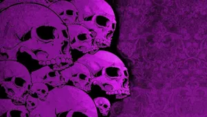 Purple Skulls Full Hd 1600x900 Wallpaper