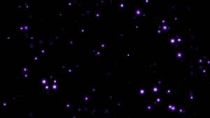 Purple Stars In The Sky Wallpaper