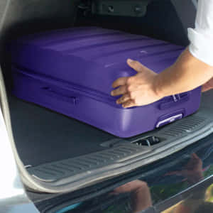Purple Suitcasein Car Trunk Wallpaper