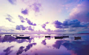 Purple Sunset 2560 X 1600 Wallpaper Wallpaper