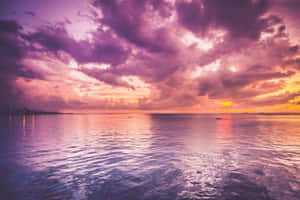 Purple Sunset Ocean View Wallpaper