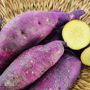 Purple Sweet Potato With A Beautiful Golden Center. Wallpaper