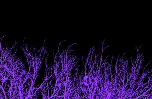 Purple Tree Branches Wallpaper