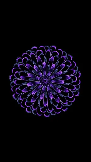 Purple Zinnia Flower Apple Wallpaper