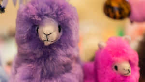 Purpleand Pink Alpaca Plush Toys Wallpaper