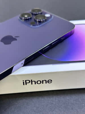 Purplei Phone14 Pro Max Close Up Wallpaper