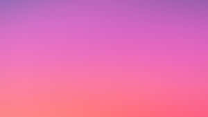 Purpleto Pink Gradient Sky Wallpaper