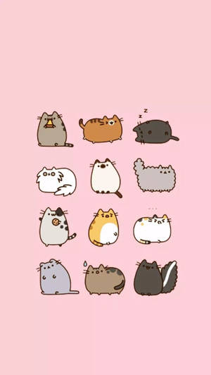 Pusheen And Friends Enjoying A Sunny Day Wallpaper