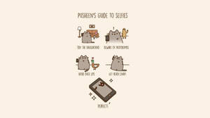 Pusheen Cat Selfie Meme Wallpaper