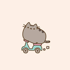 Pusheen Taking A Ride Wallpaper