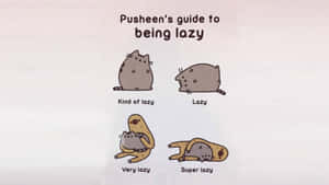 Pusheen The Cat Meme Laptop Wallpaper